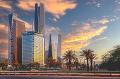 riyadh-roads-and-streets-are-filled-with-ornamental-trees-on-both-sides-of-the-road-downtown